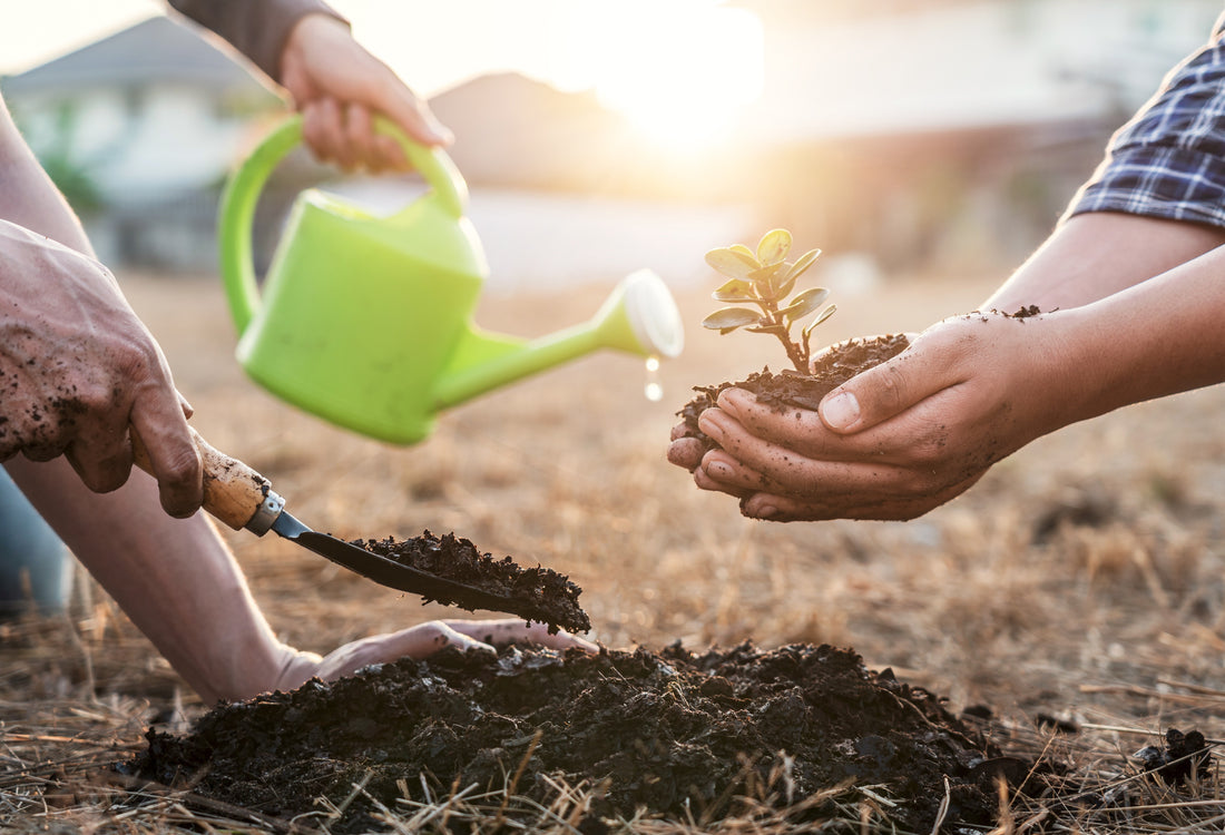 Ensuring the Future of Your Small Business: Generational Succession Strategies